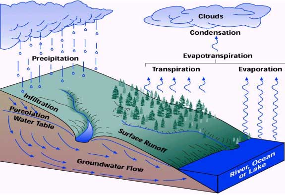 Where Is Percolation In The Water Cycle