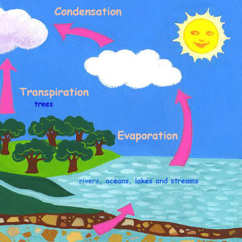 Education & Awareness – Spokane Aquifer Joint Board